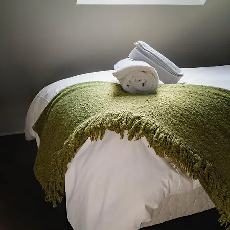 Daire Elegance Anglaise En Hypercentre Du Mans Avec Videoprojecteur, Babyfoot Et Flechette Le Mans